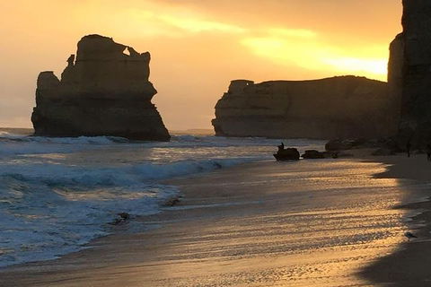 Great Ocean Road Small-Group Ecotour From Melbourne - Australian Directory 5