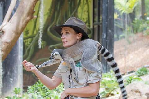 Currumbin Wildlife Sanctuary General Entry Ticket - Australian Directory 1