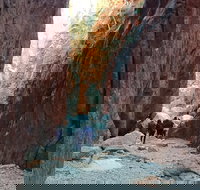 West MacDonnell Private Tour with Transfer - Australian Directory