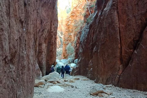 West MacDonnell Private Tour With Transfer - Australian Directory 0