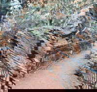 West MacDonnell Ranges Half - Day Tour - Australian Directory