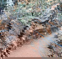 West MacDonnell Ranges Half-Day Private Charter Guided Tour - Australian Directory