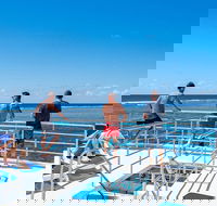 Calypso Outer Great Barrier Reef Cruise from Port Douglas - Australian Directory