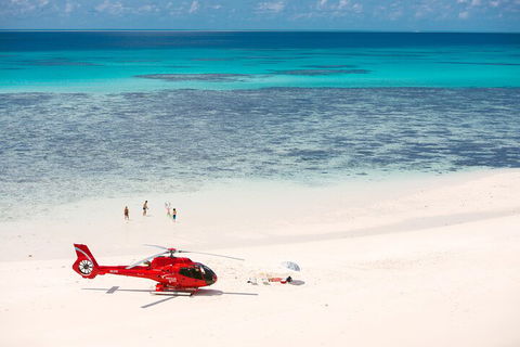 Private Helicopter Tour: Reef Island Snorkeling And Gourmet Picnic Lunch - Australian Directory 2