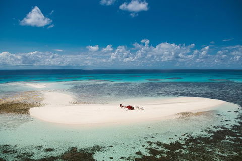 Private Helicopter Tour: Reef Island Snorkeling And Gourmet Picnic Lunch - Australian Directory 4