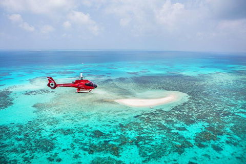 Private Helicopter Tour: Reef Island Snorkeling And Gourmet Picnic Lunch - Australian Directory 5