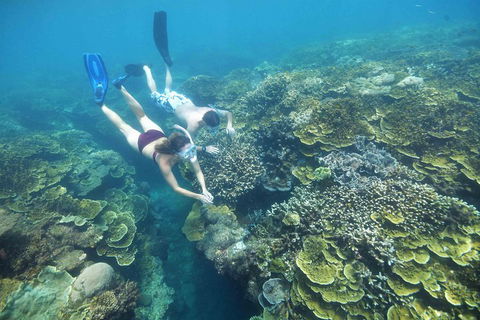 Scenic Helicopter Flight To Moore Reef And Return Snorkeling Cruise From Cairns - Australian Directory 1
