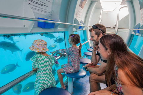 Scenic Helicopter Flight To Moore Reef And Return Snorkeling Cruise From Cairns - Australian Directory 3