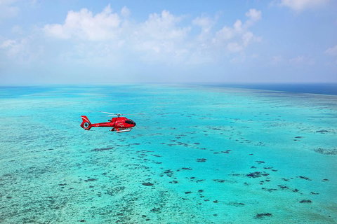 Helicopter And Cruise Packages From Port Douglas - Australian Directory 1