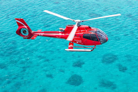 Helicopter And Cruise Packages From Port Douglas - Australian Directory 5