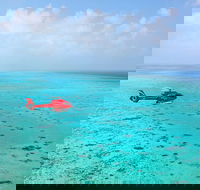 Port Douglas Scenic Flights - Australian Directory