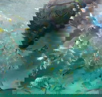 2-Day Moreton Island 4WD Camping Tour from Brisbane - Australian Directory