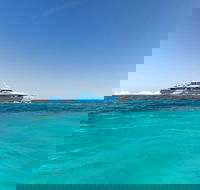 Rottnest Island Bayseeker Day Trip from Perth - Australian Directory