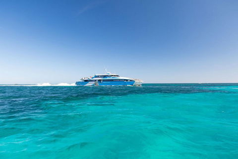 Rottnest Island Bayseeker Day Trip From Perth - Australian Directory 0