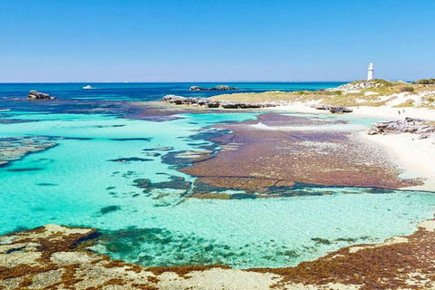 Rottnest Island Bayseeker Day Trip From Perth - Australian Directory 4