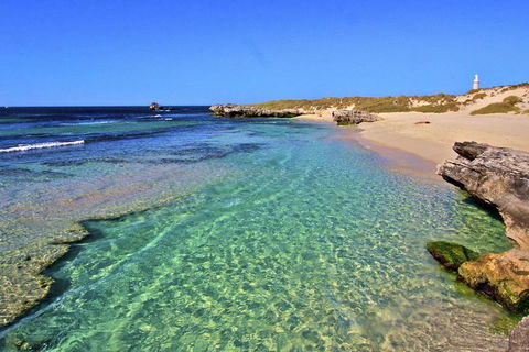 Rottnest Island Bayseeker Day Trip From Perth - Australian Directory 5