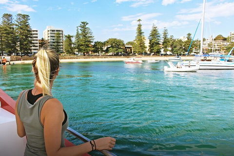 Sydney Harbour Hop-on Hop-off Cruise - Australian Directory 5