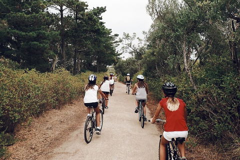 Self-Guided Point Nepean National Park Bike Hire - Australian Directory 3