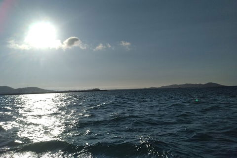 Townsville Small Group Early Morning Sailing Cruise Boat Tour Charter Hire - Australian Directory 4