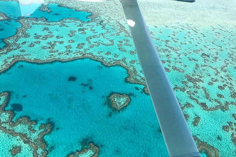 Whitsunday Islands 1-Hour Reef Scenic Helicopter Tour - Australian Directory 3