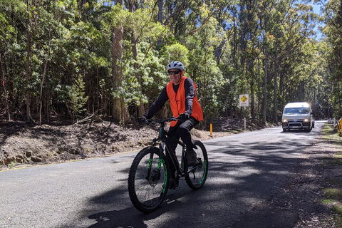 Mount Wellington Descent Cycling Tour Departs Hobart - Australian Directory 3