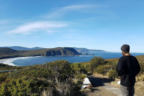 Small-Group Day Trip From Hobart To Bruny Island - Australian Directory 0