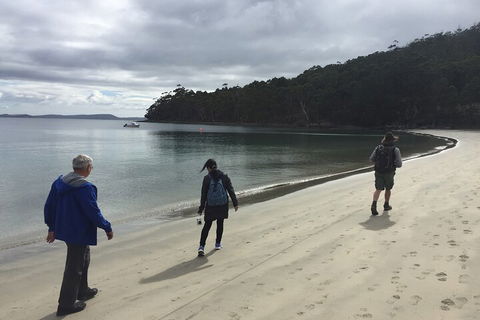Small-Group Day Trip From Hobart To Bruny Island - Australian Directory 1