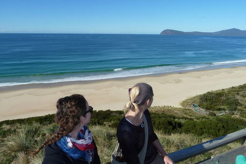 Small-Group Day Trip From Hobart To Bruny Island - Australian Directory 3