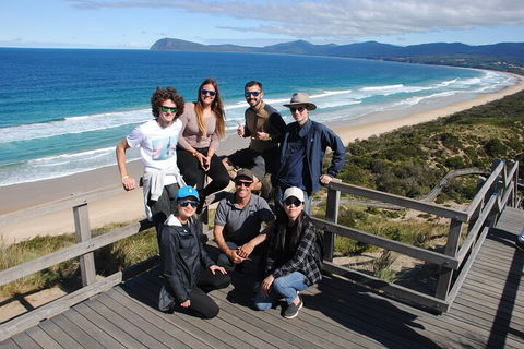 Small-Group Day Trip From Hobart To Bruny Island - Australian Directory 4