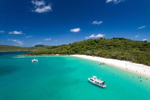 Whitehaven Beach And Hill Inlet | Awesome Beach BBQ | Family Friendly - Australian Directory 3
