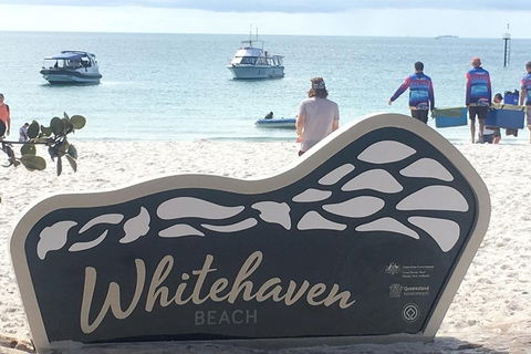 Whitehaven Beach And Hill Inlet | Awesome Beach BBQ | Family Friendly - Australian Directory 5
