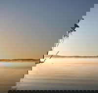 Serenity Cruise to Australia's Everglades - Australian Directory