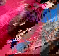 Alice Springs Desert Park General Entry Ticket - Australian Directory