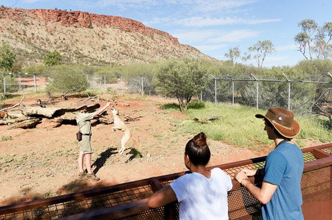 Alice Springs Desert Park General Entry Ticket - Australian Directory 4