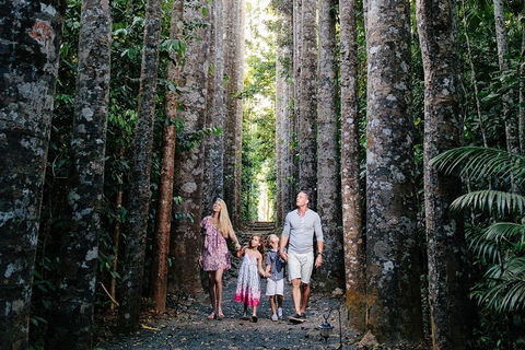 The Original Day Tour To Paronella Park, Lake Barrine And Millaa Millaa Falls - Australian Directory 1