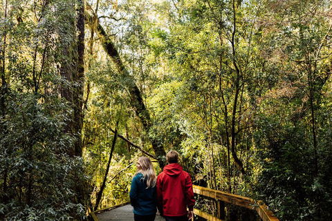 Gordon River Cruise Departing From Strahan - Australian Directory 2