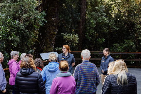 Gordon River Cruise Departing From Strahan - Australian Directory 4