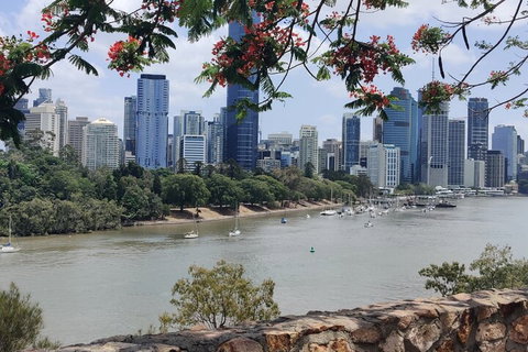 Brisbane Food Tour: A Taste Of Queensland - Australian Directory 4