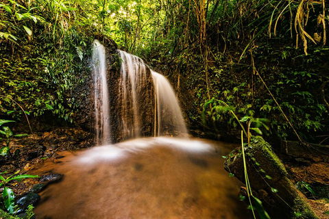 Paronella Park Admission Ticket - Australian Directory 5