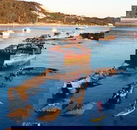 Adventure Moreton Island Wrecks Adventure Package - Australian Directory