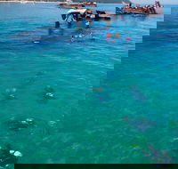 Adventure Moreton Island Scuba Dive Tour - Australian Directory