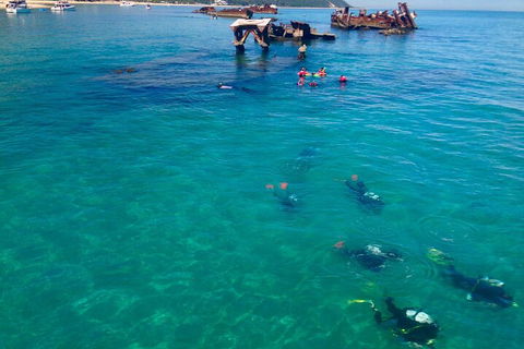 Adventure Moreton Island Scuba Dive Tour - Australian Directory 0