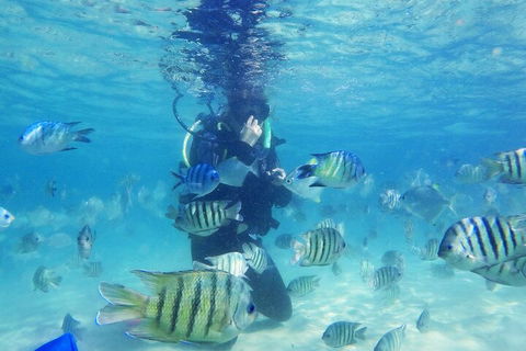 Adventure Moreton Island Scuba Dive Tour - Australian Directory 1