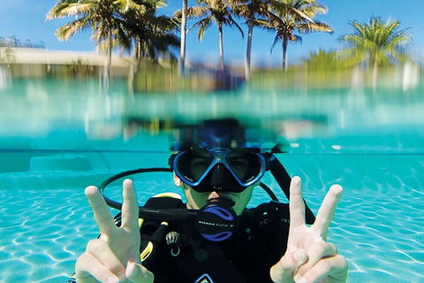 Adventure Moreton Island Scuba Dive Tour - Australian Directory 2
