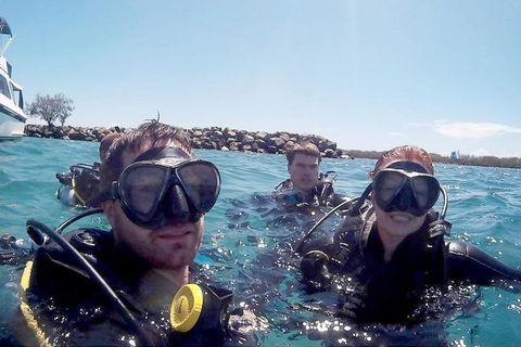 Wave Break Island Scuba Diving On The Gold Coast - Australian Directory 0