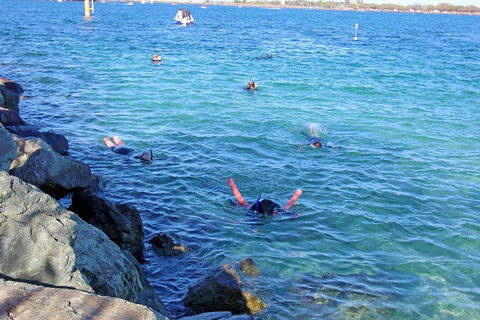 Wave Break Island Scuba Diving On The Gold Coast - Australian Directory 1