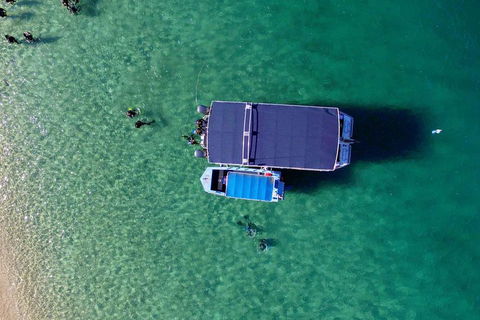 Wave Break Island Scuba Diving On The Gold Coast - Australian Directory 2