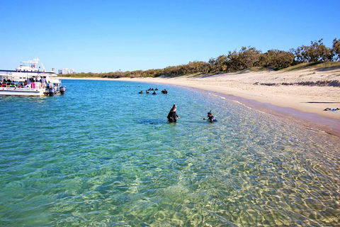 Wave Break Island Scuba Diving On The Gold Coast - Australian Directory 4