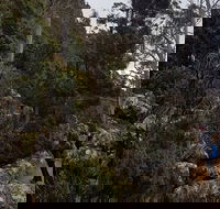 kunanyi / Mt. Wellington Guided Hiking Tour