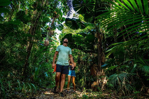 Full Day Daintree Rainforest And Mossman Gorge Tour - Australian Directory 0